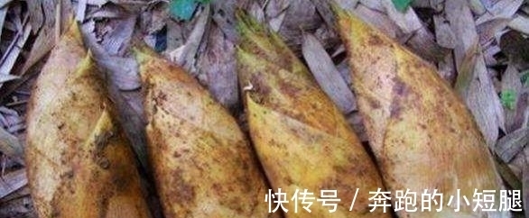 祛皱|秋天了,推荐多吃4种食物,祛皱润肤,美容养颜,好处不贵!