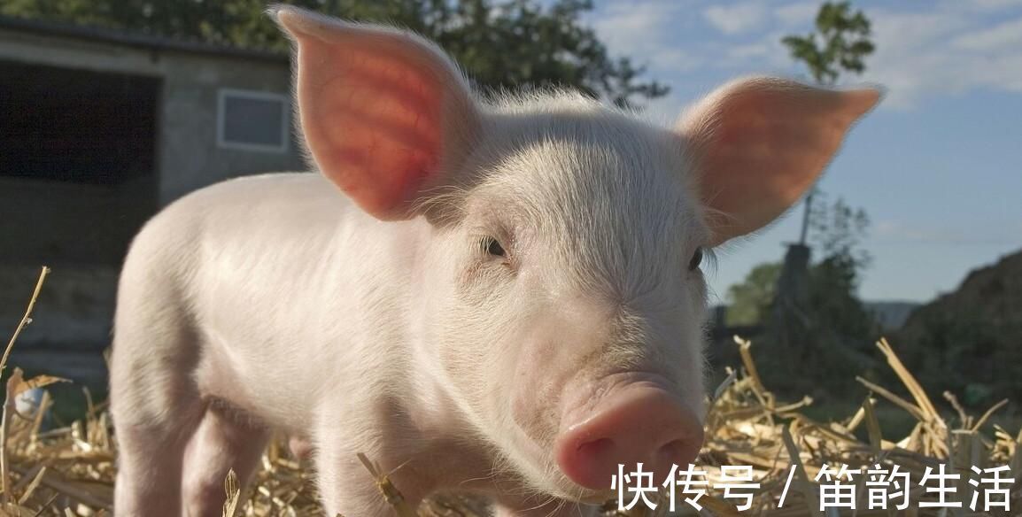 11个冷知识：或许没有机会使用，但能让人博学的奇怪知识