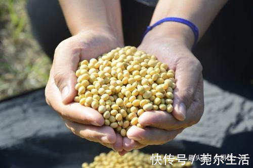 小窍门|炖猪蹄时,牢记“3不放”的小窍门,猪蹄Q弹软烂,好吃不油腻
