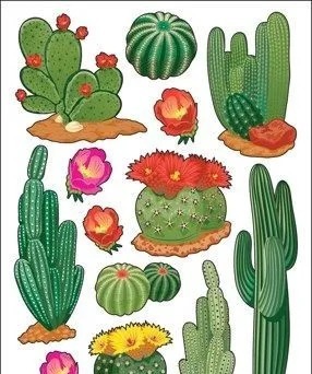 真正的懒人盆栽,不用任何管理也能花开常在!DIY纸艺手工附教程