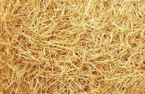 房子现浇屋顶怎样防止开裂？