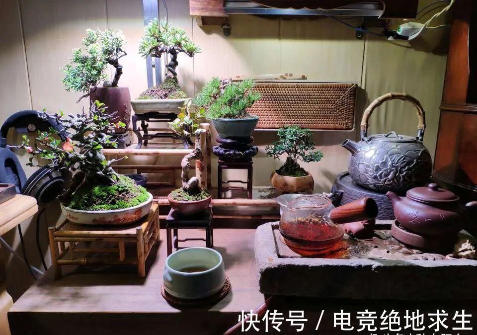 树石盆景:在堤岸坡脚处留出一条透水的缝隙,可享浇水无忧!