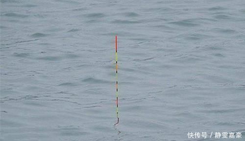 浮漂|准确调漂的两大标准,满足这几个条件,调漂就是靠谱的!