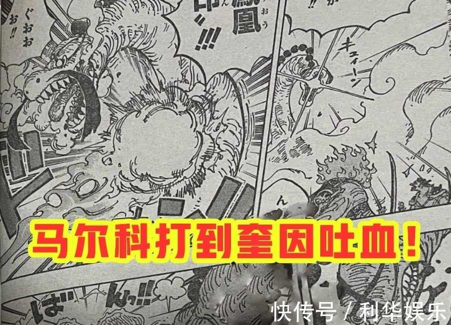 海贼王|海贼王1006话：小马哥被烬斩落翅膀，豹五郎释放“生命归还”
