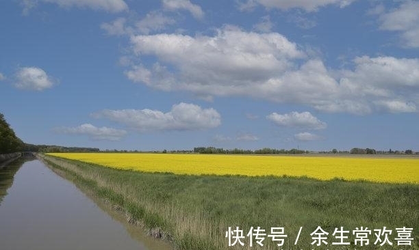 桃花运|未来2天，桃花交织，海誓山盟，真诚唤醒，爱情到位，共度余生