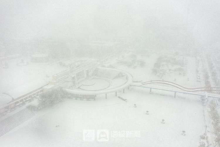 初雪|组图+视频丨德州入冬初雪如期“到货” 积雪已盖住脚背