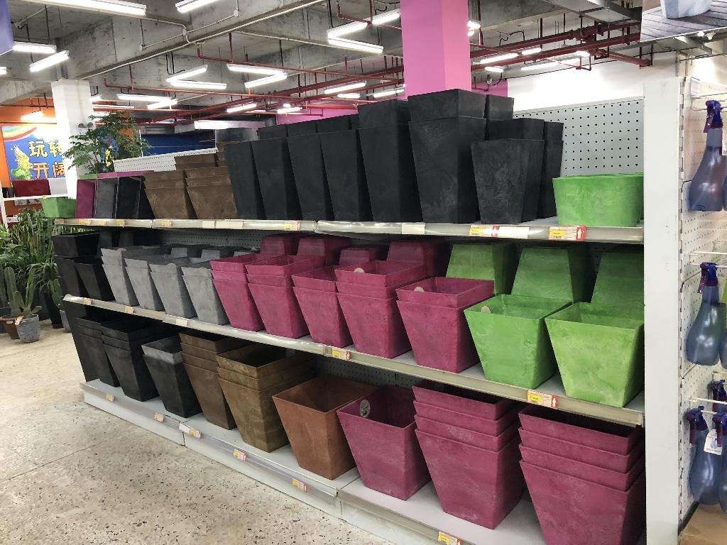 春天正是养花时,提前准备这5样东西,养花更加得心应手