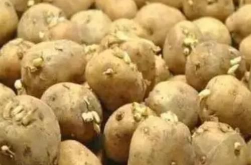 木耳|经常吃馒头会伤肝吗?提醒:想要养肝的人,这四种素食尽早远离