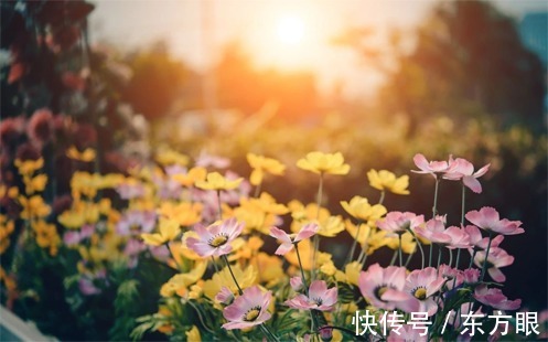 淡然|真正的幸福，就是一杯“白开水”