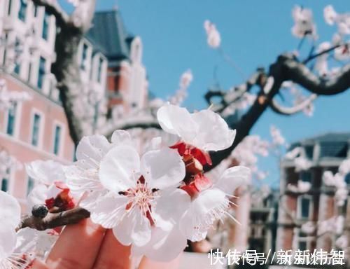 伤春&王安石特别唯美一首词,感情细腻,结尾更流传千年,宰相也柔情