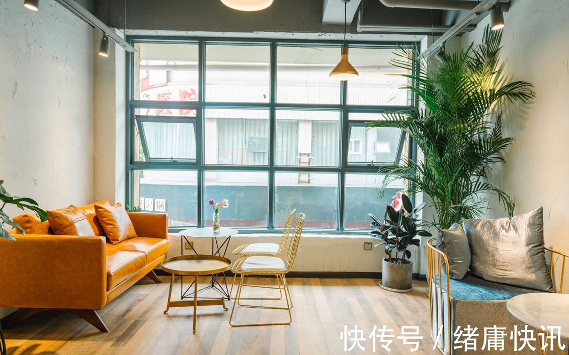 牡丹吊兰|4种花能观赏能“养人”,建议养几盆,好看又利于健康