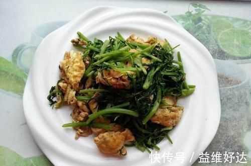 茴香|鸡蛋和此物一起炒,女性每天吃一些,子宫越来越干净,脸蛋更红润
