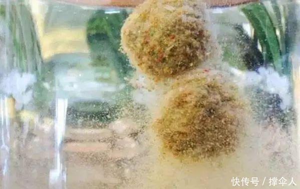 拉丝粉|蓝鲫速攻九一八,用好了大小鱼都能钓用不好全是小鱼闹窝皇禾渔具