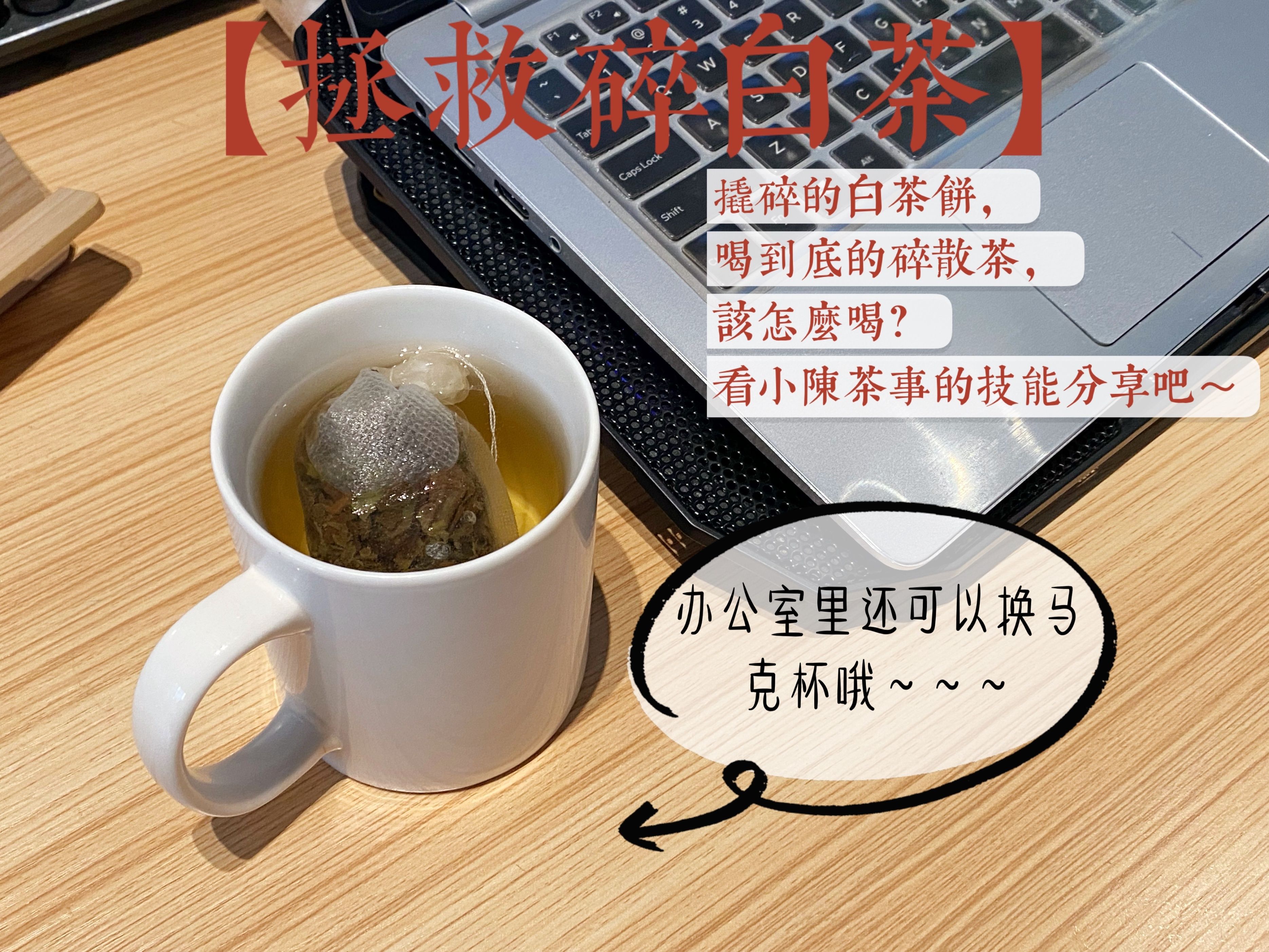 白茶|办公室泡茶，记住“3个技巧”就够了，新手可学，老手也受用