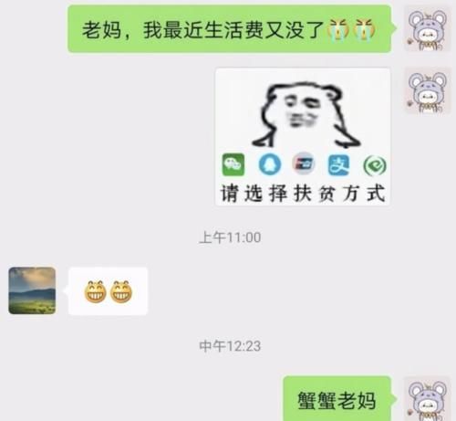 大学生晒讨生活费的截图，家长看完秒懂，网友：下次试试