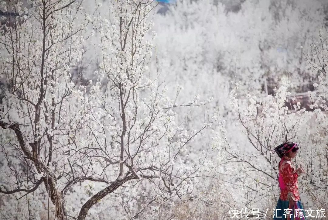 淋一场烟雨，遇一场花事，9个三月花海刷屏的地方