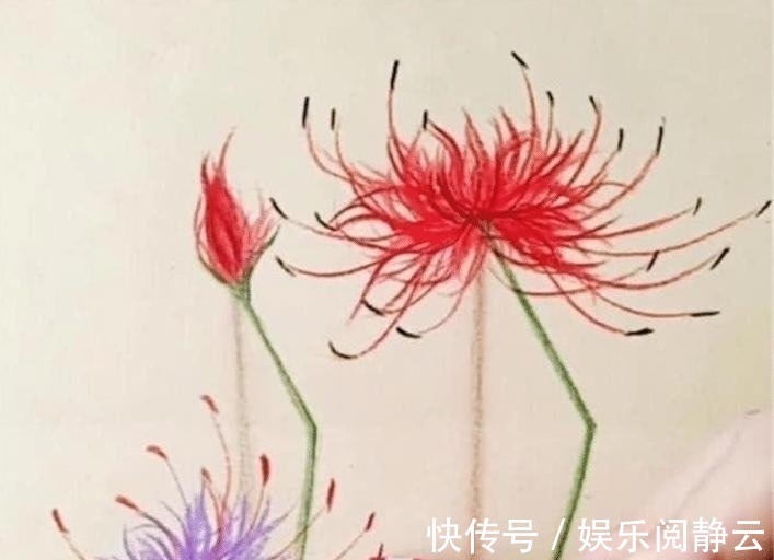画纸$开始以为是劣质美术生,画朵花杆都“折”了,对着画纸后打脸了