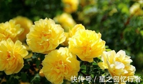 7月31日双子座运势 工作繁忙 期待爱情 注意饮食 快资讯 7月31日双子座运势 工作繁忙 期待爱情 注意饮食 快资讯