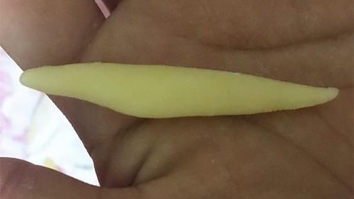 面条|第一次见山药的这种吃法，五分钟搓一盘，爽滑筋道，营养又好吃