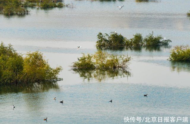 永定河|大美永定河！湿地串起生态明珠