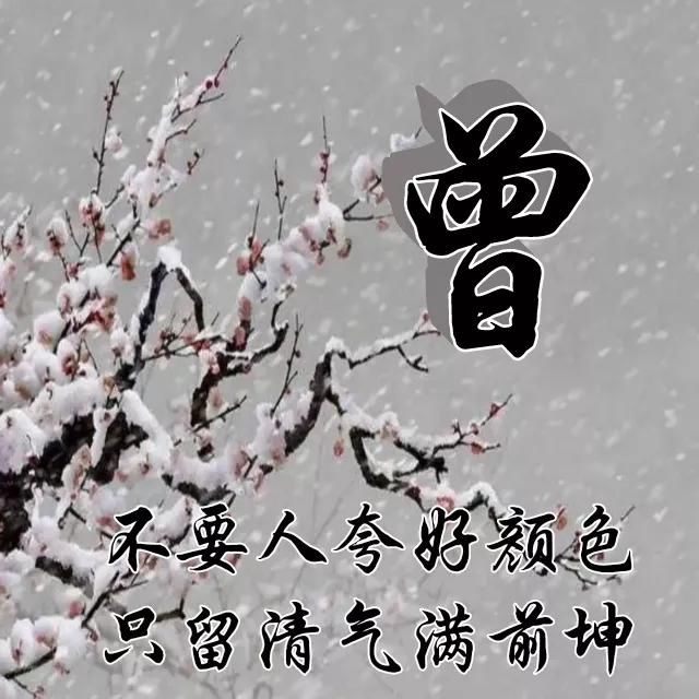  红梅|红梅花儿开，朵朵放光彩，千里冰霜脚下踩