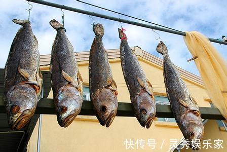 动物蛋白|告诉家人此种鱼不仅营养少,还可能有坏细胞加速剂,尽量少吃