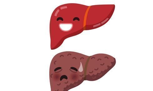 三阴交穴|晚上睡觉如果出现3个症状,说明你的肝脏出现问题了,要当心