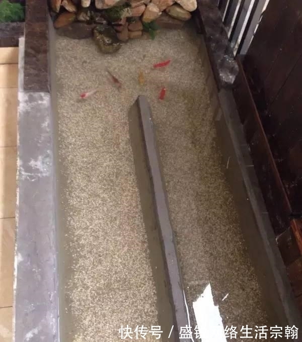 防水|老公在阳台做了个鱼池, 发到业主群里, 楼下直接找上门了!