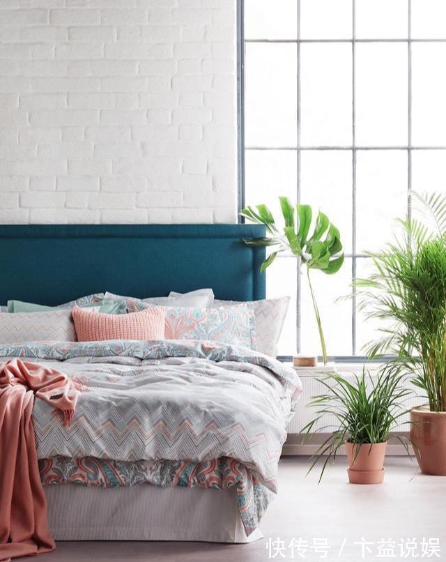 卧室养花避开这5种,熏得头晕脑胀,最容易失眠