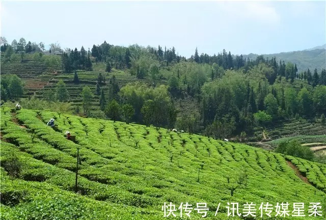 谷花鱼|这些年笔者眼中的腾冲蒲川