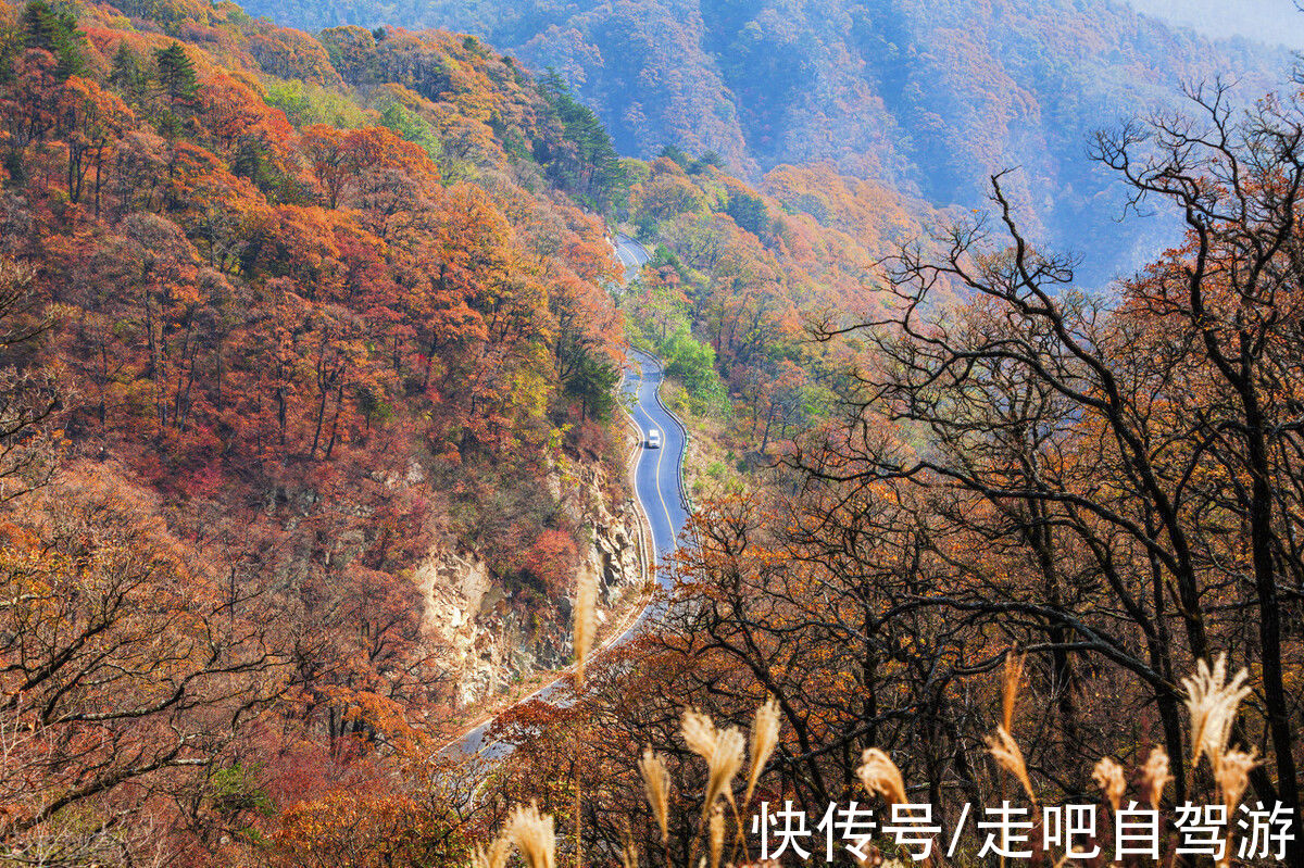 徽州|安徽又又又又又红了