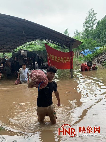 疫情|【河南“金牌”抗疫人】青春“志愿红”闪亮战“疫”一线