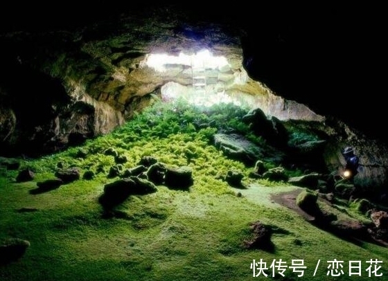 摄制组&小山村频发异象,为何野猪常年只攻击此地?奇特坑洞又从何而来?