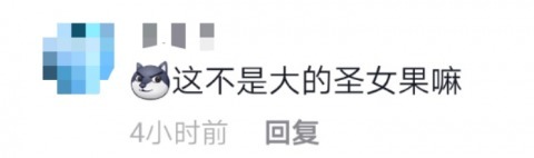 奶茶|“西红柿鸡蛋汤”奶茶炸翻全网,好奇点了一杯,竟不输点点、悦色、冰城