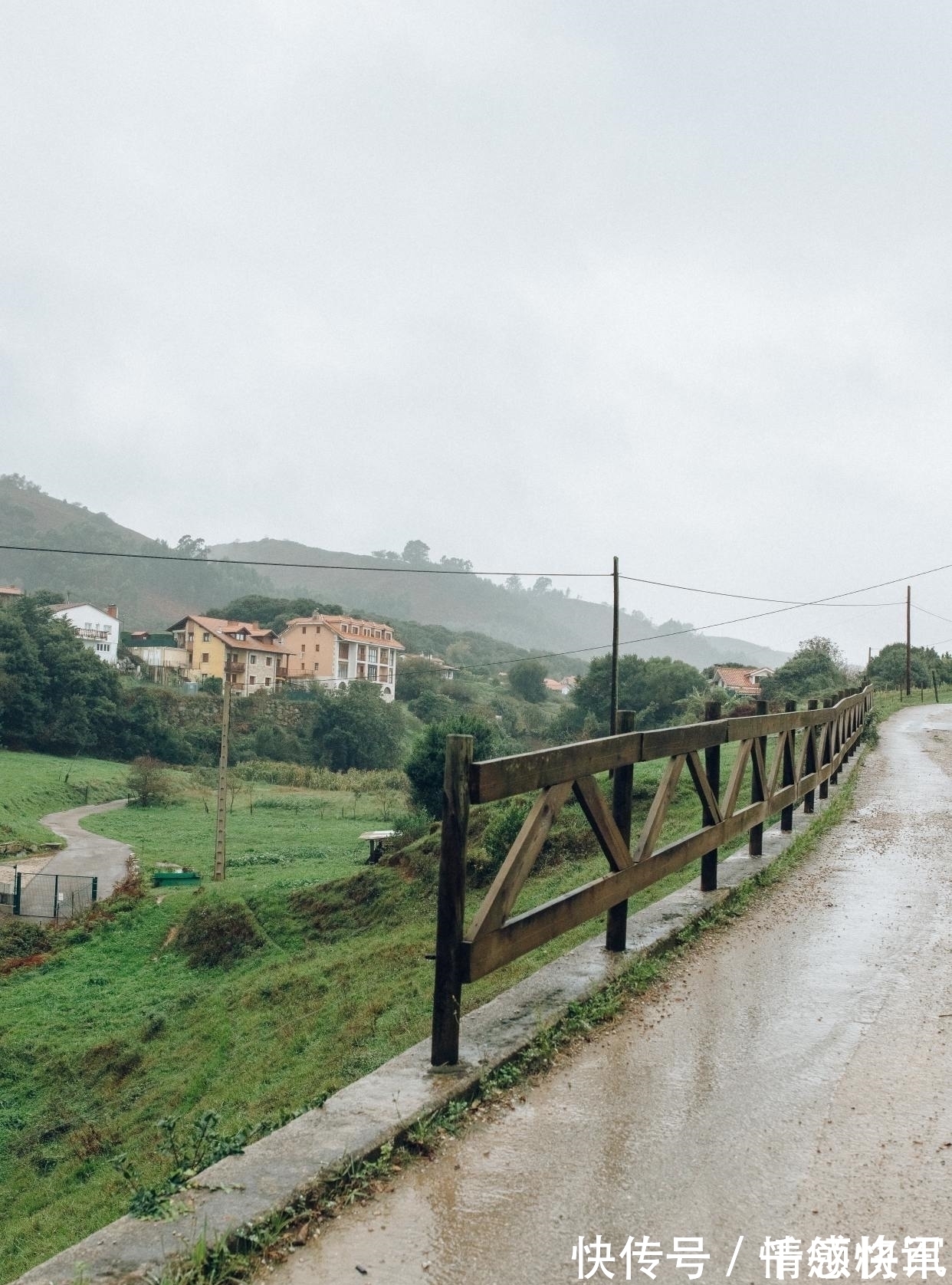 春天!王维很美的一首田园诗,短短4句却写得扣人心弦,值得学习