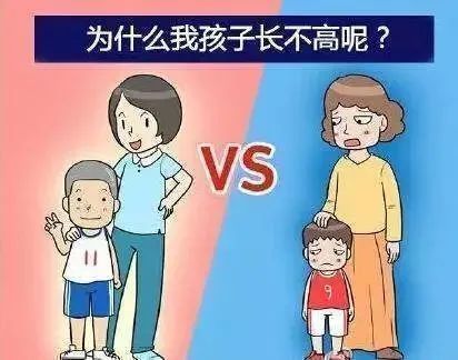 听听|孩子长不高、性早熟怎么办？听听松江专家怎么说