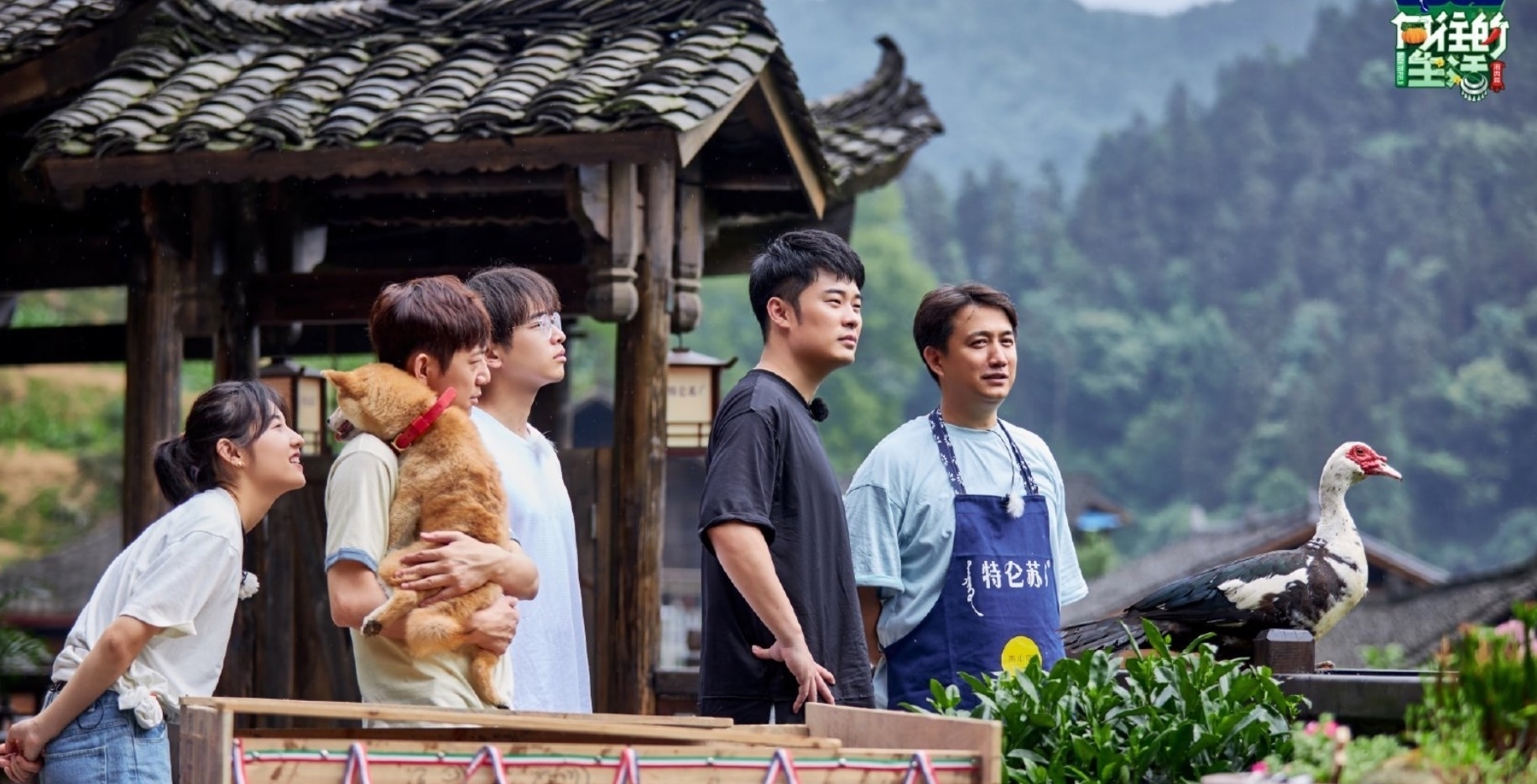 《向往6》官宣,依旧是原班人马,看到主题:黄磊的梦想实现了