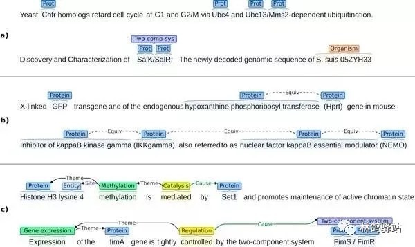 数据|行业分享：文本数据标注的整体流程、类型与应用场景