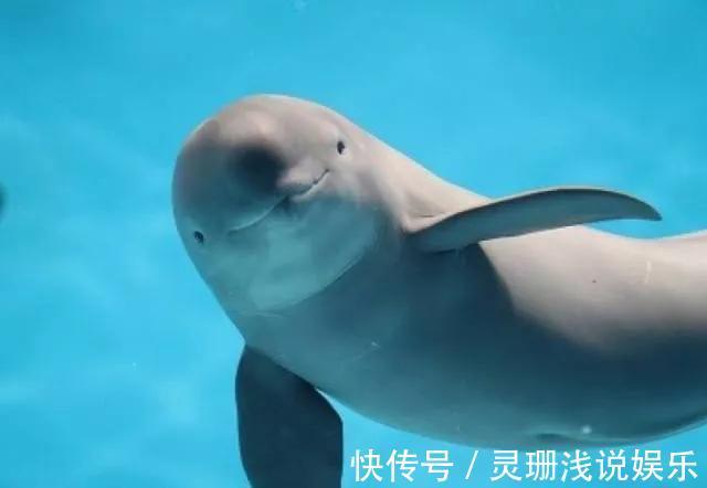 没收渔具并处罚!重庆男子尴尬渔获引争议,禁钓是否该严行?