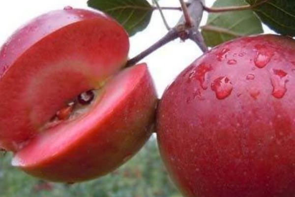 空腹|女人每天早上空腹吃个苹果,或能白捡四个好处,早知早受益!