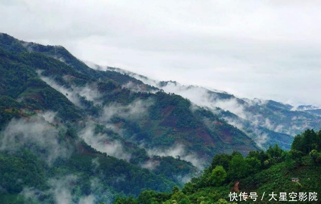 云南大山深处一村落：家家都住别墅，满山都是摇钱树收入不菲