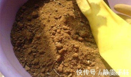 香蕉皮|养花旧土不要扔,掺上“三废料”,肥力“赛过”营养土!