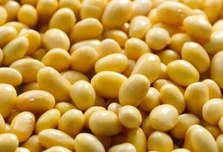 想吃黄豆酱不用买,在家做很简单,香辣过瘾,放一年也不会坏