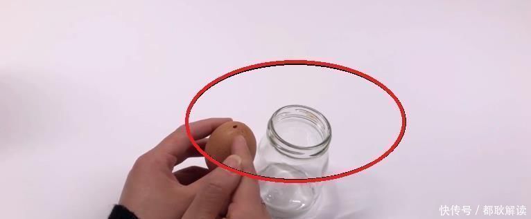 鸡蛋壳|不管养什么花,花盆里放入1个鸡蛋,一年都不用施肥,怎么回事