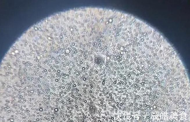显微镜|当母乳被放大1000倍，纯净得让人难以置信，太神奇了！