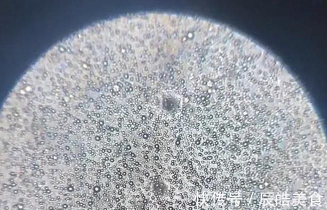 显微镜|当母乳被放大1000倍,纯净得让人难以置信,太神奇了!