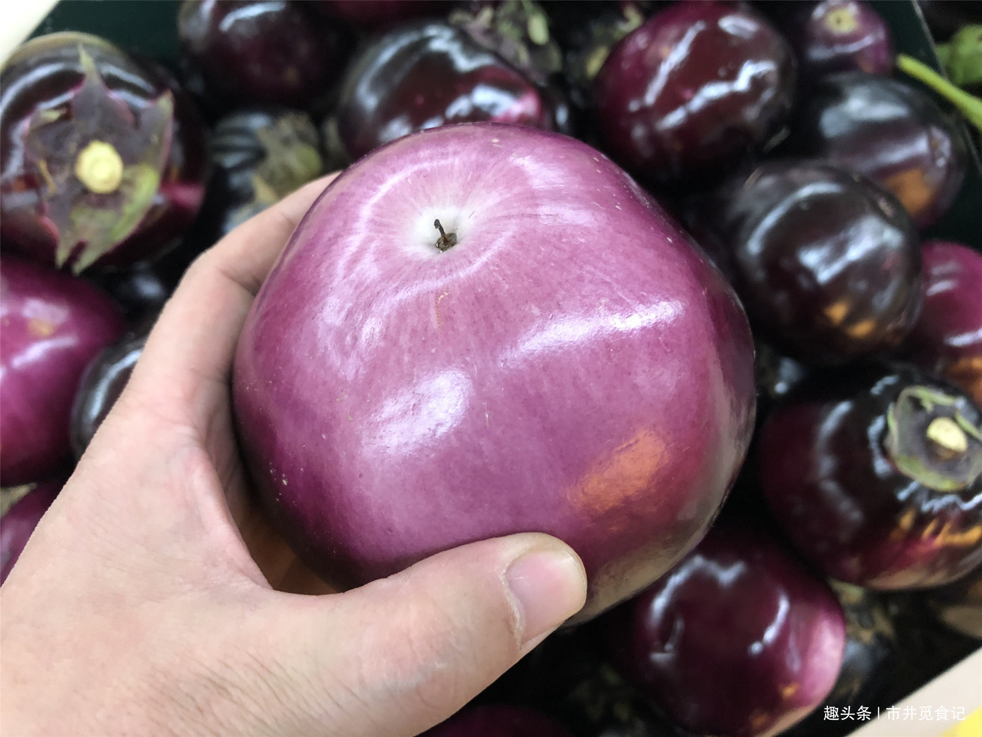 茄子|买茄子时,记住2个小窍门,轻松挑到嫩茄子,新鲜水嫩没有籽