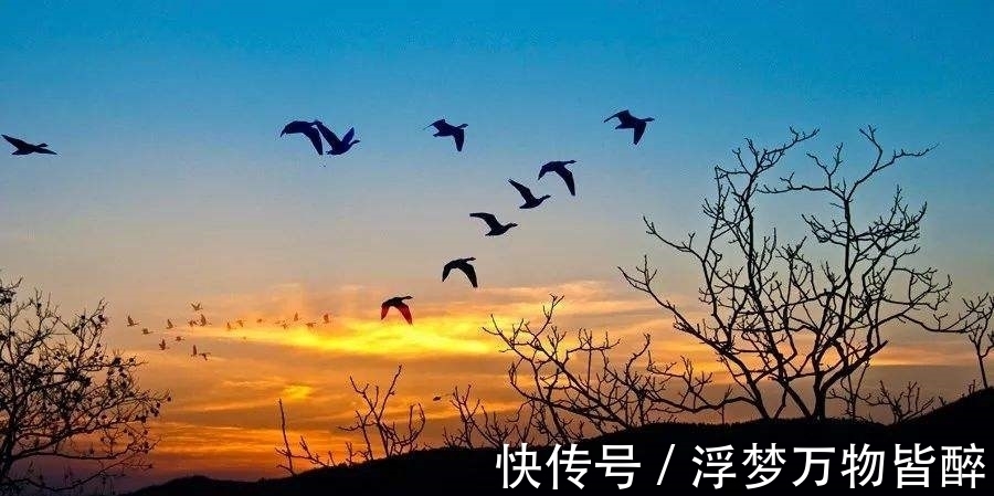 诗篇$与宋之问《渡汉江》同主题的10大诗篇排行榜,榜首很多人想不到