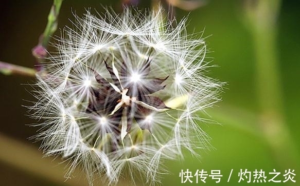 处女座|这四大星座夫妻其实早就命中注定