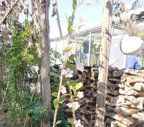 顺益|「顺益兴四合院背后的匠人」第一期拜访张毅培先生砖雕工作室